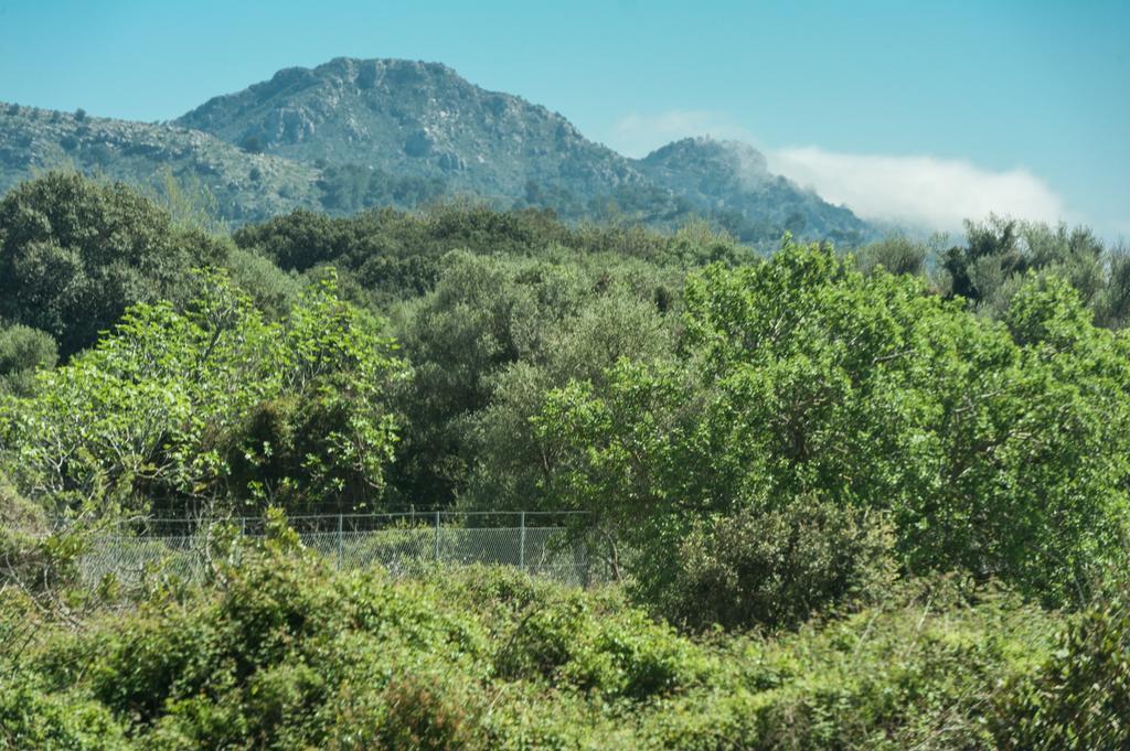 Villa Bona Vista