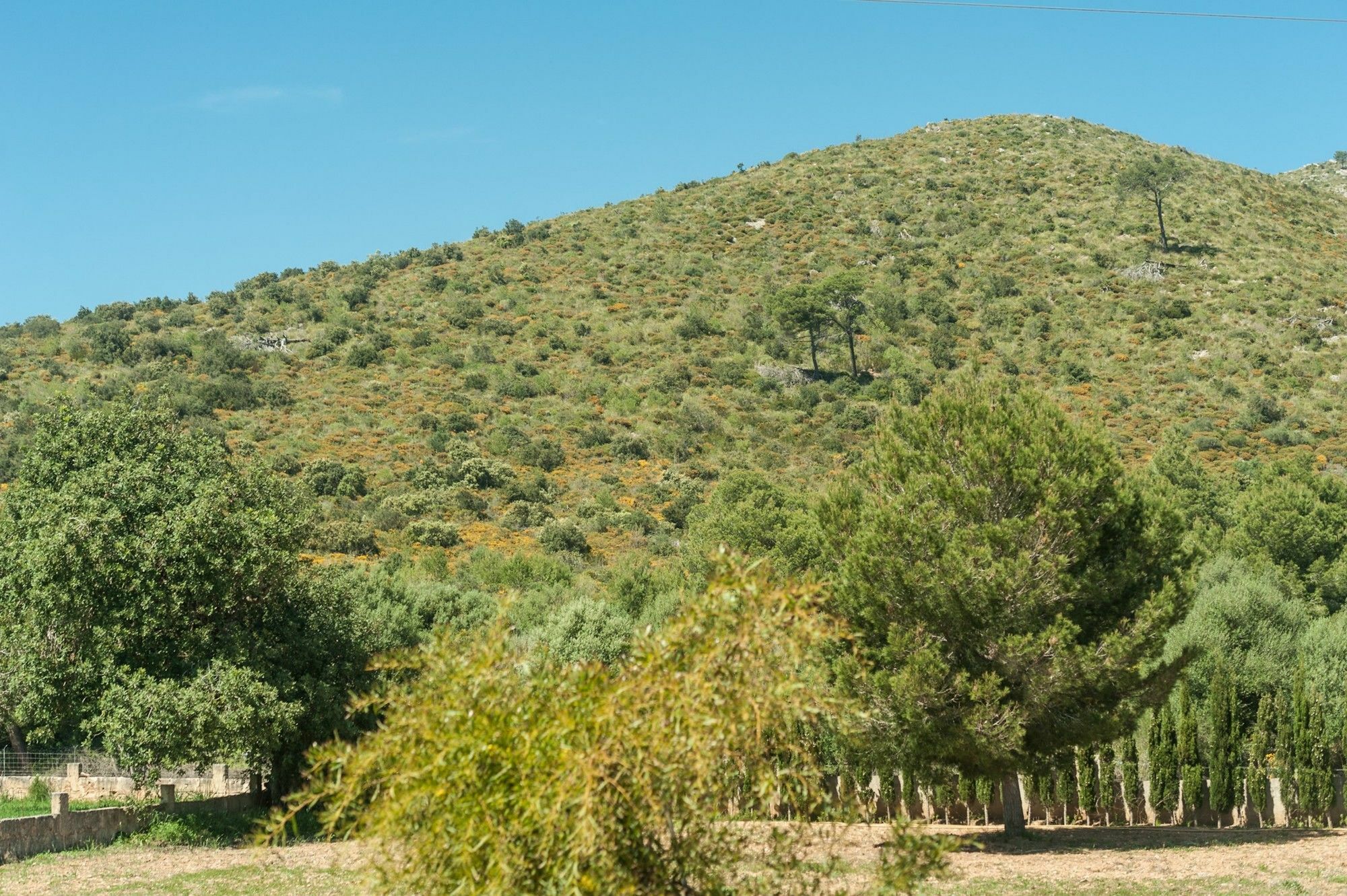 Bona Vista * Capdepera (Mallorca)